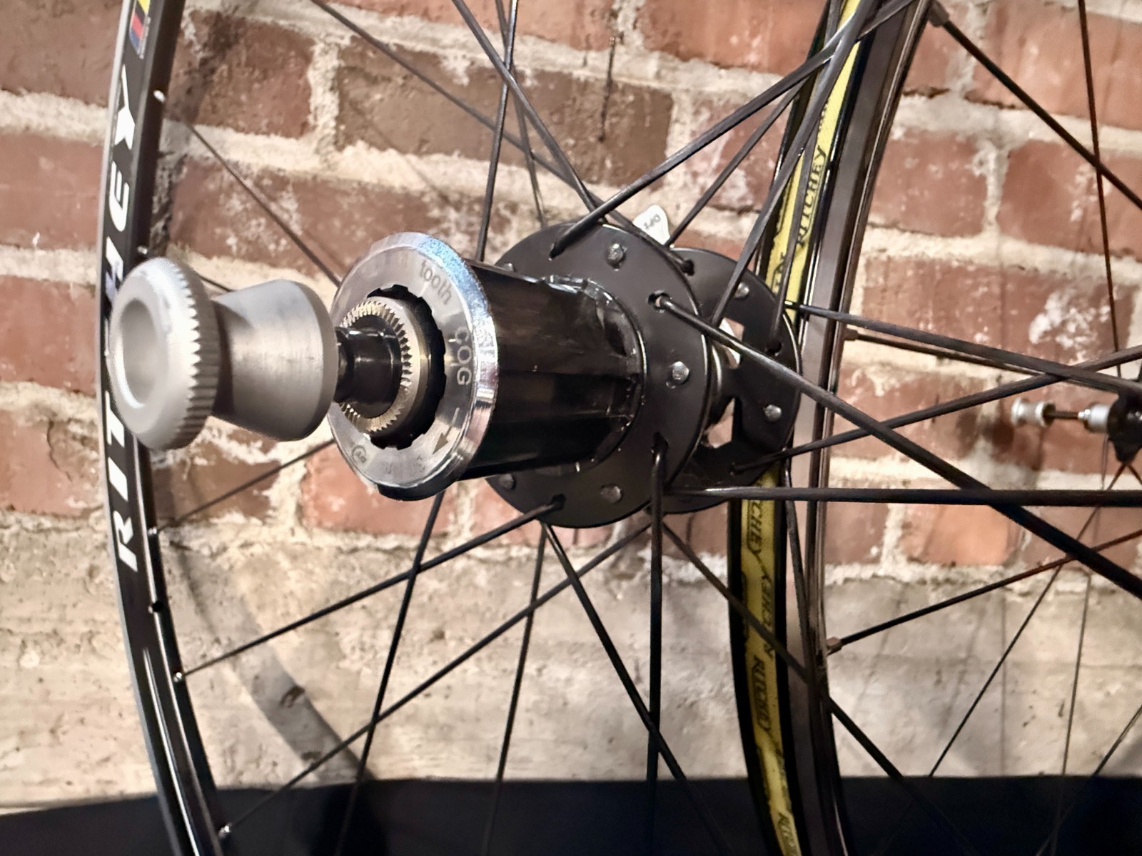 Ritchey WCS Protocol LTD Rim Set