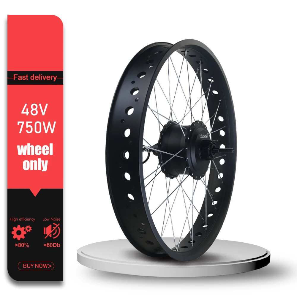 Snow Electric Bike 48V 750W Fat Tire Rear Brushless Hub Motor Wheel 20 24 26inch