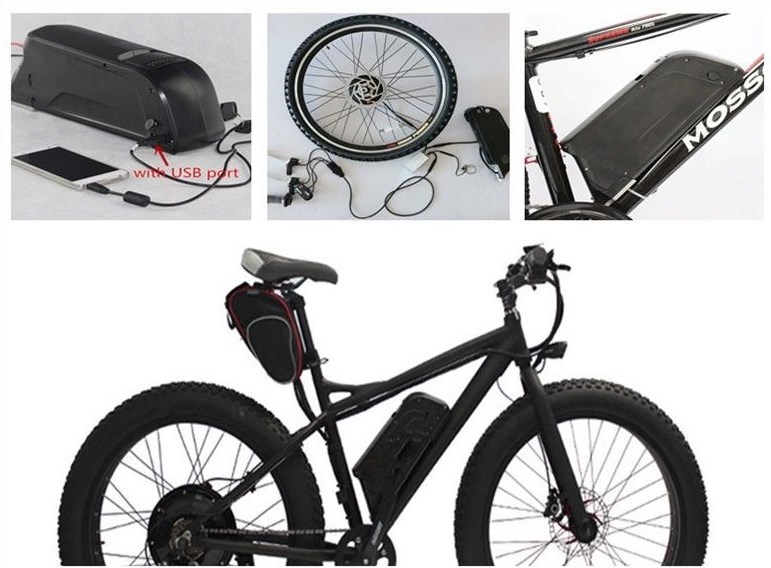 Electric Bike Ebike 48v Li-ion Battery Dolphin Case Box + USB Plug Switch
