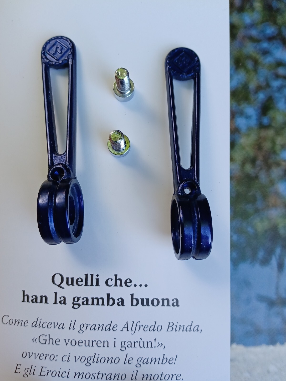Nos L’Eroica Colnago Blue Anodized Shifters Shifters Shifters Shifters Shifte…