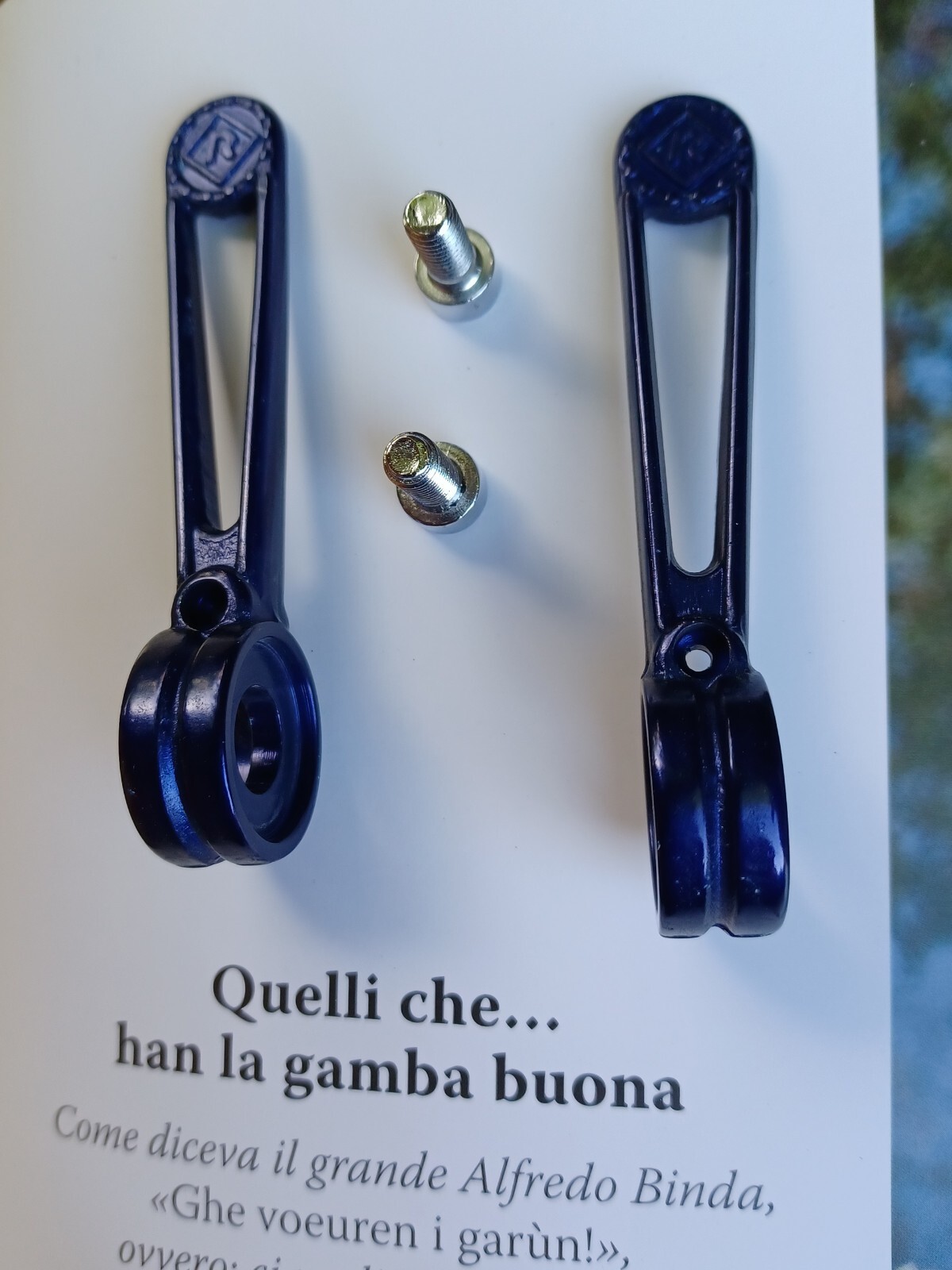 Nos L’Eroica Colnago Blue Anodized Shifters Shifters Shifters Shifters Shifte…