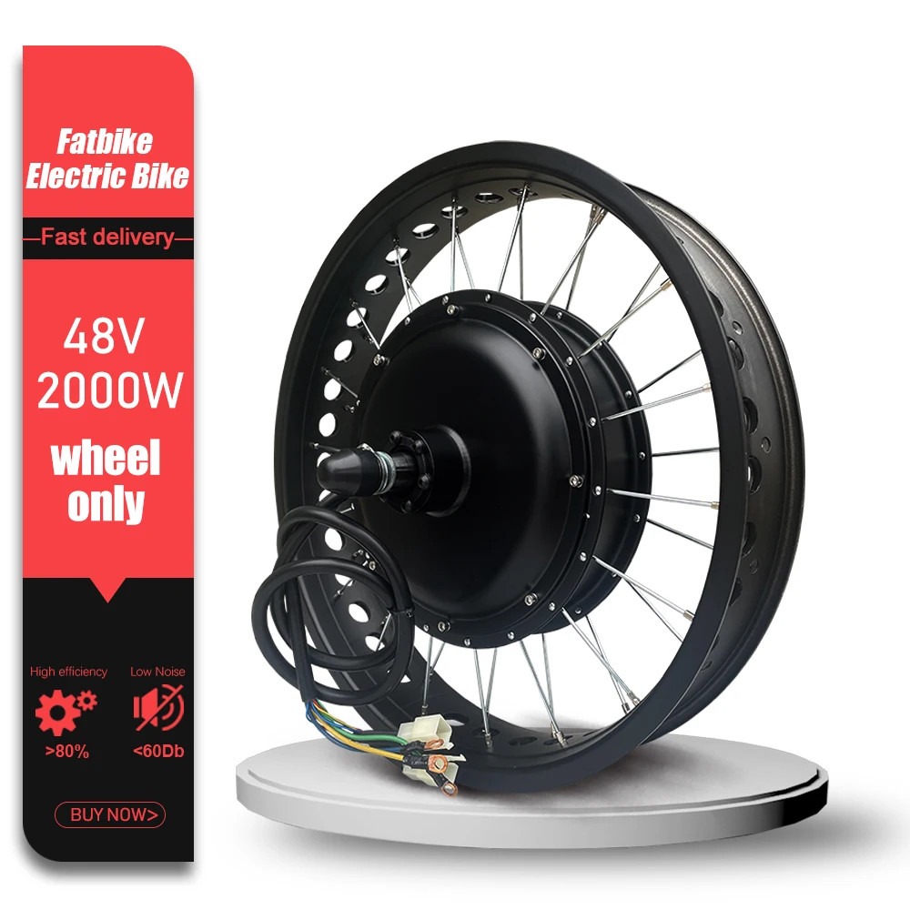 Snow Electric Fat Bike 48V 2000W 4.0Tyre Brushless Non-gear Rear Hub Motor Wheel