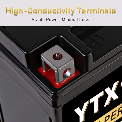 YTX12-BS 12V 10Ah AGM Sealed Motorcycle Battery, Maintenance-Free, YTX-12 Black